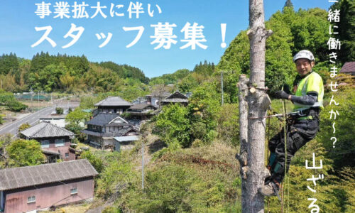 求人ページトップ画像　山猿